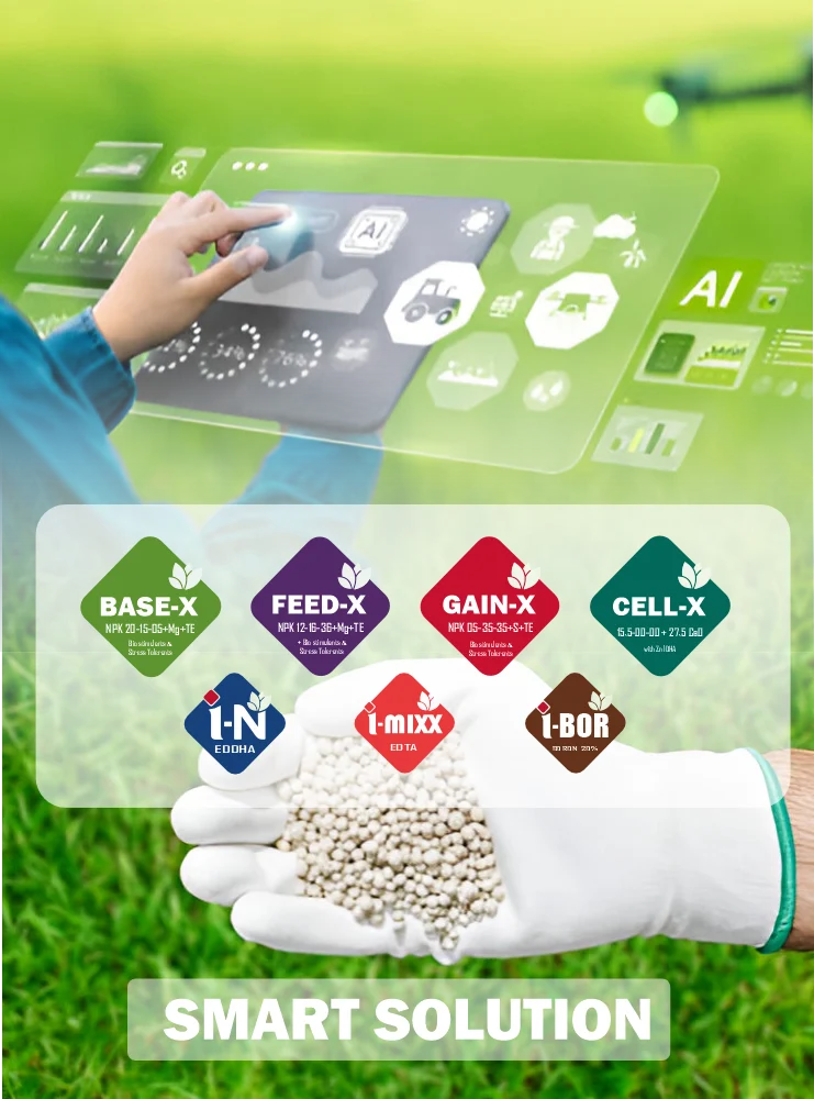 Mobile Banner 4.webp